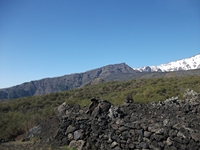 anobello-01042012 062